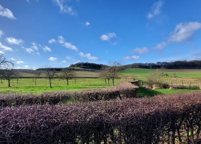 Het Gerendal 酒店 法尔肯堡